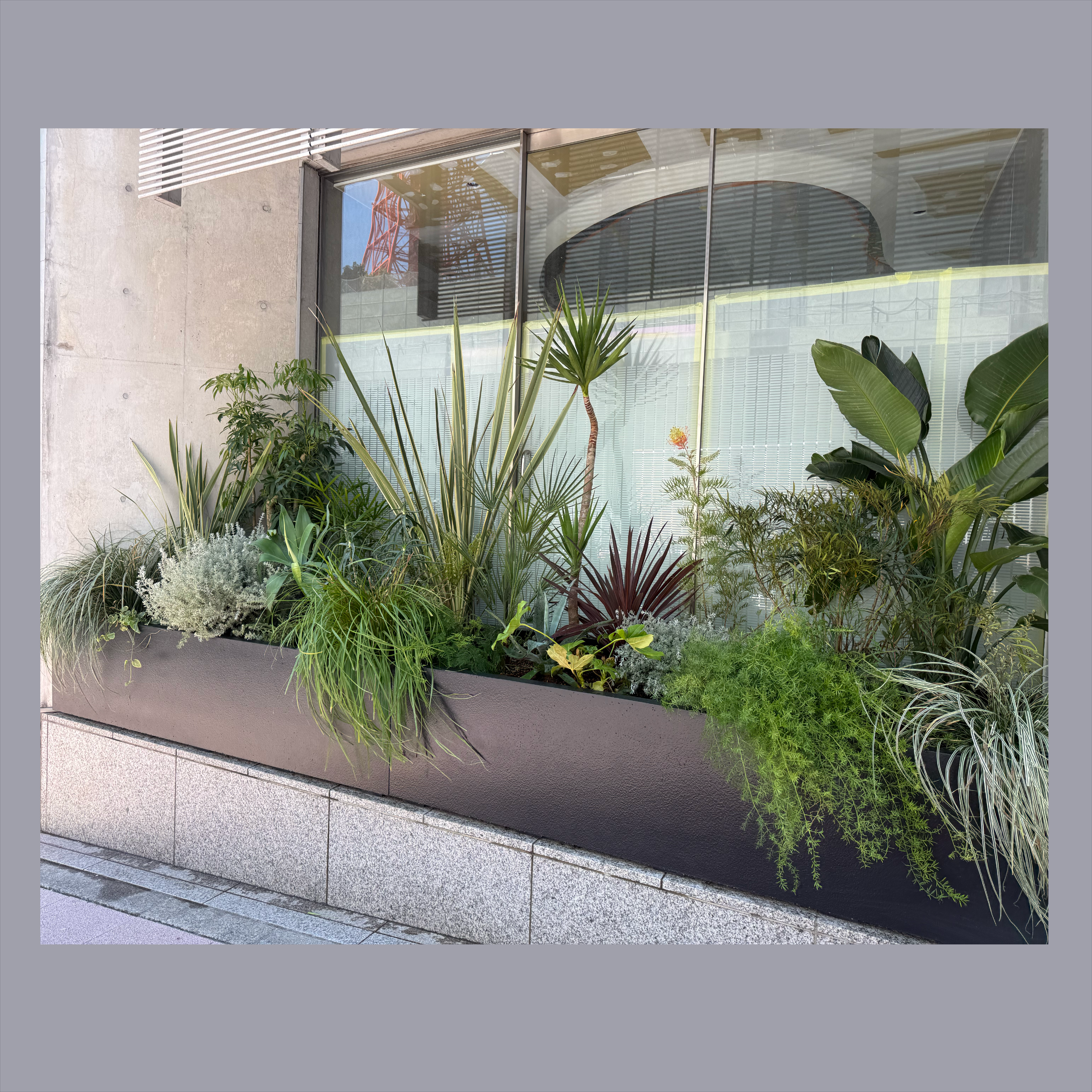 麻布集合住宅_植栽のサムネイル